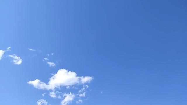 Малоимущие Колесниковы// Что-то здесь нечисто// Обзор видео// смотреть онлайн