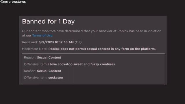 More Unbelievably STUPID Roblox Bans (2023) ? смотреть онлайн