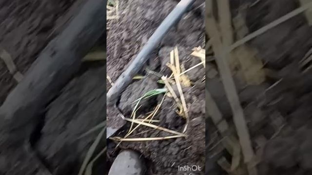 много находок на распаханом урочище смотреть онлайн