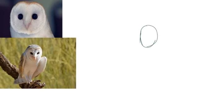 Арт.Сипуха. смотреть онлайн