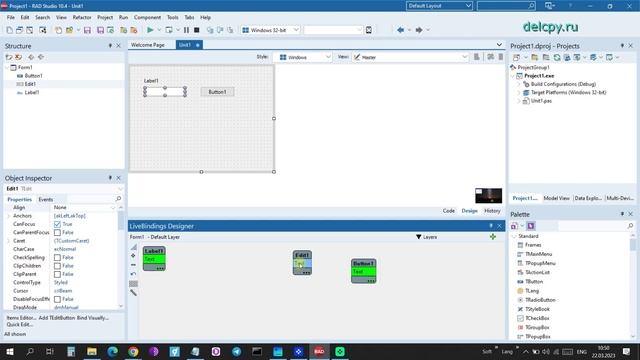 Bind Visually Delphi.