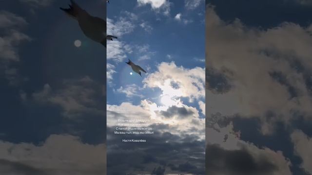 Автор стихотворения и читает Настя Ковалёва #стихи #стихиолюбви #япишустихи #стишки #стишок смотреть онлайн