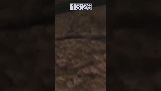 Сколько я заработал за час игры в Сталкер Зов Припяти? смотреть онлайн