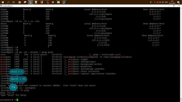Установка PostgreSQL 12 в Fedora Server 30 смотреть онлайн