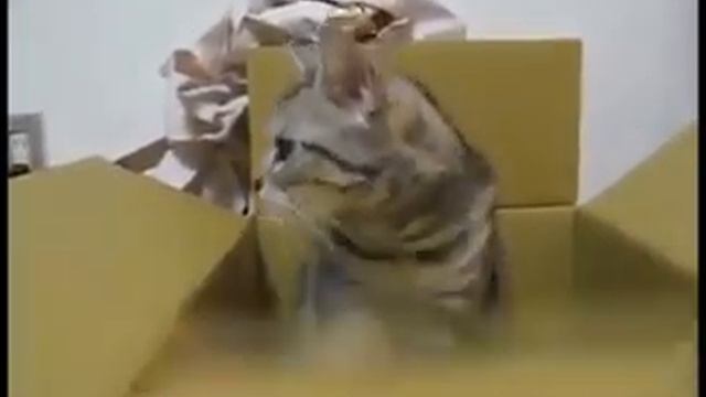 Я ГОВОРИЛ ОНИ С ДРУГОЙ ПЛАНЕТЫ смотреть онлайн