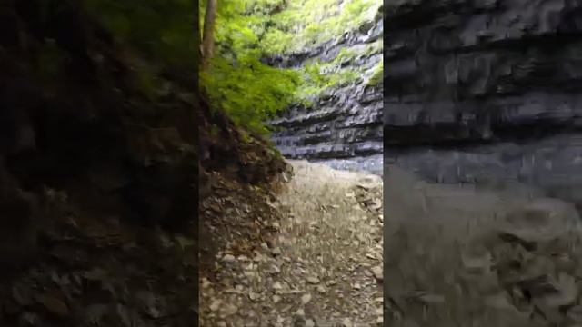 Прогулка на водопад. Лазаревское 2022