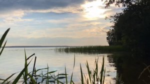 Запретка. Пушкино.