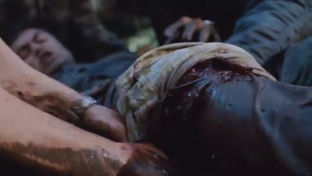 Ohota na kabana 2008