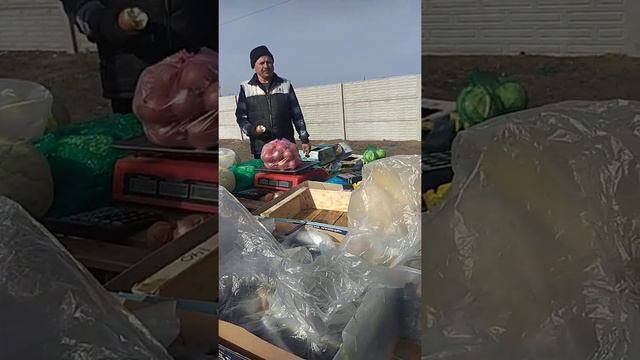 Херсонщина цена на рыбу смотреть онлайн