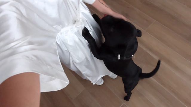 WEEKLY VLOG | une semaine avec nous - Lisa Ngo смотреть онлайн