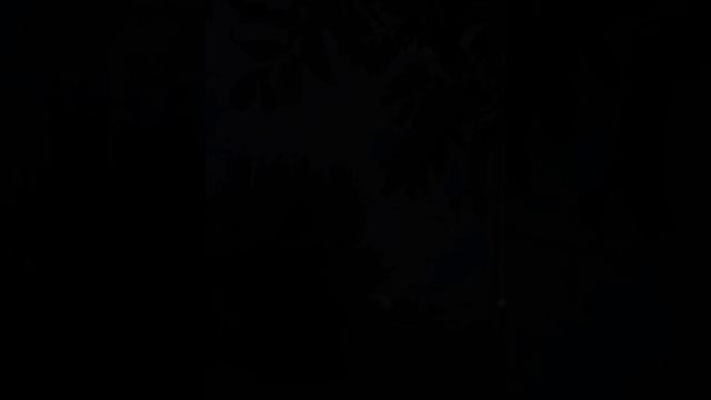 эстетика вечера