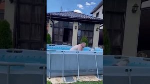 VID-20230822-WA0001.mp4