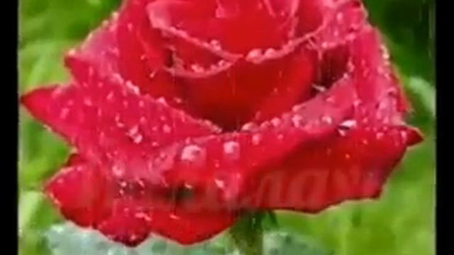 Маме,которая ушла в иной мир(( смотреть онлайн