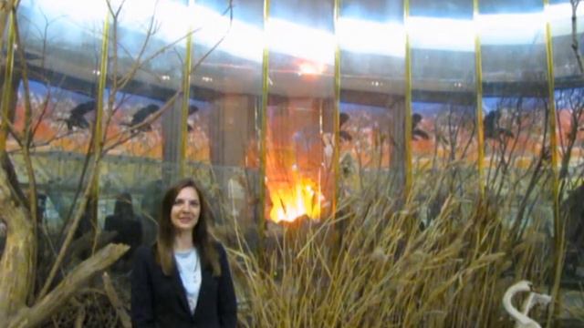 "Как сохранить секрет" смотреть онлайн