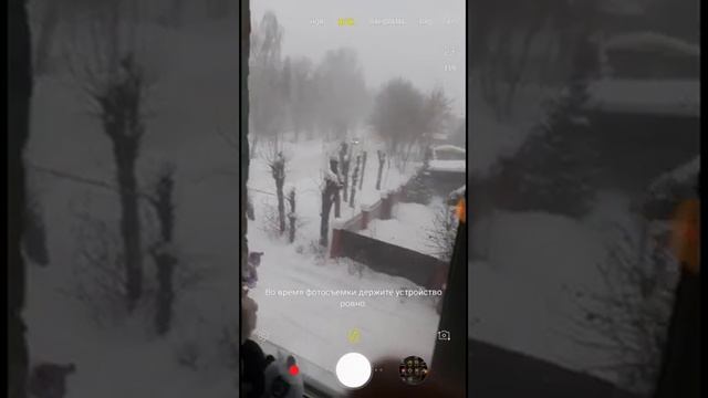 Настоящая метель смотреть онлайн