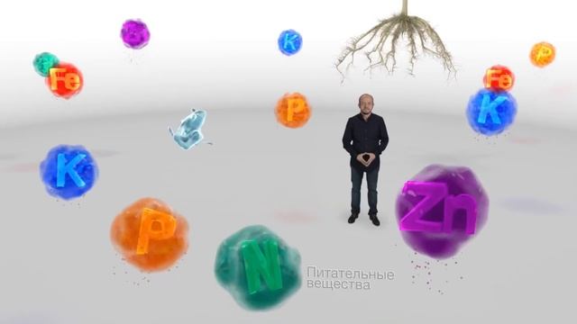 Повышение урожая с помощью МИКОРИЗА. смотреть онлайн