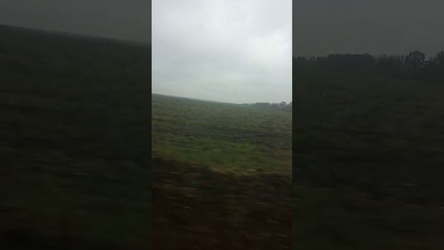 там біля тополі Калина росте смотреть онлайн