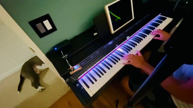 Raindrops piano led visualizer смотреть онлайн
