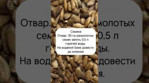 Все секреты расторопши. Польза. Противопоказания. Способы применения.