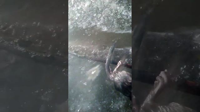 проверка самолова на ондатру смотреть онлайн