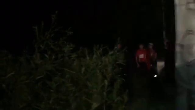 Фестиваль ветеранов спортивного ориентирования Хабаровского края смотреть онлайн