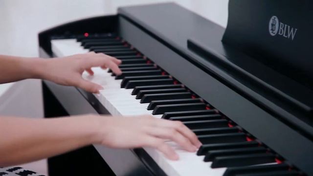 BLW DP110 Digital Piano (Piano Cover: Camila Cabello - Havana ft. Young Thug) смотреть онлайн