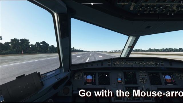 Tipps And Tricks How Use A Ipad IOS With MSFS All Flight Instrument Copy That You Want
