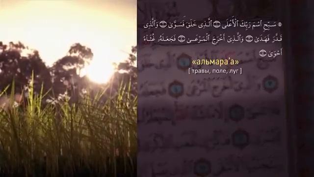 Возникновение нефти смотреть онлайн