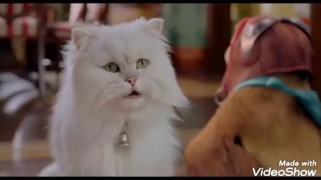 Обзор фильма Стюарт Литтл 2/Stuart Little 2 (2002) смотреть онлайн