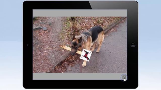 Managing Digital Assets on a Mobile Device in Oracle Content and Experience смотреть онлайн
