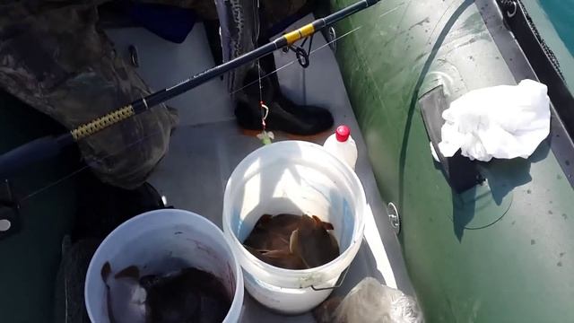 летняя рыбалка в уссурийском заливе, камбала, краб, ментай смотреть онлайн