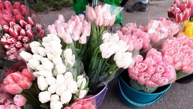 Киев Ukraine. Цена на цветы сегодня. Весеннее настроение в городе смотреть онлайн