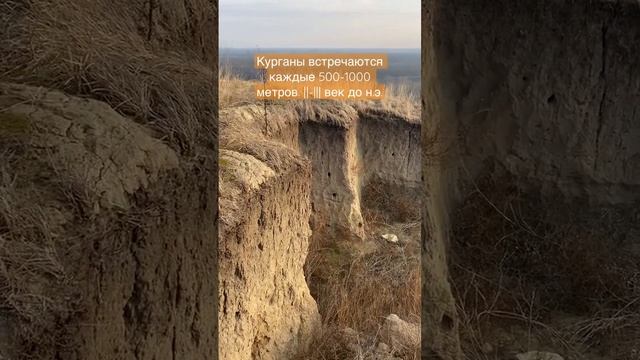 Несанкционированные раскопки древних курганов Кубани. В Эрмитаже коллекция «Золото Кубани» отсюда.