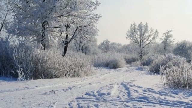 Зимняя природа смотреть онлайн