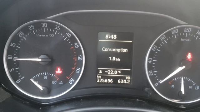 Engine Error Oil Pressure Skoda Octavia 1.6 TDI Cold Start -23 °C (-10 °F)