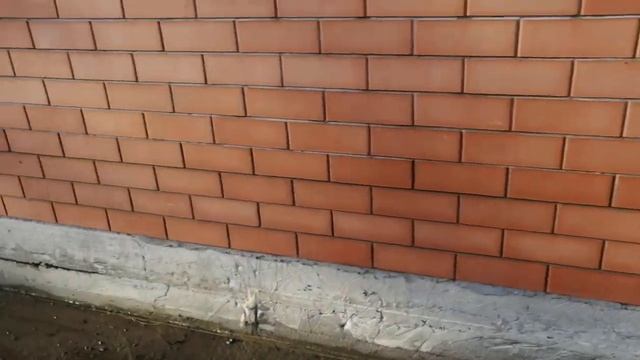 Строительство одноэтажного дома из кирпича под ключ