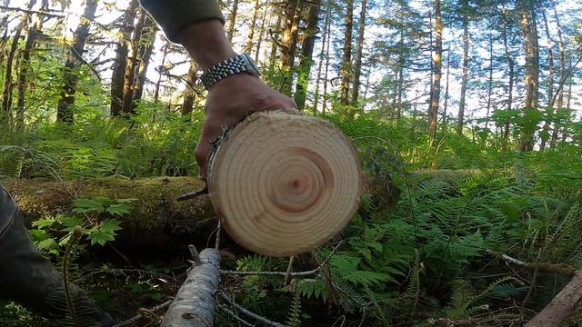 Заготовка Дров в Походе Пилой и Топором 2021 (Agawa Boreal 24 & Fiskars X7) смотреть онлайн