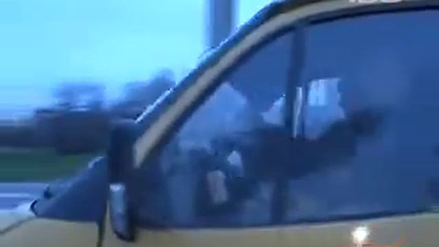 Общественный транспорт штрафуют смотреть онлайн