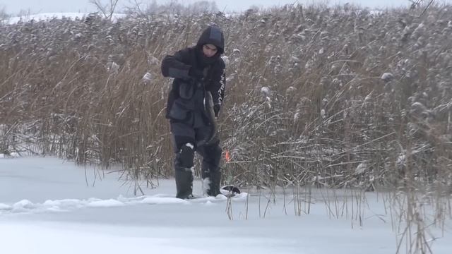 Сам не ПОВЕРИЛ! Начал проверять жерлицы.. А тут! Жесть а не рыбалка! Первый лёд 2023-24! смотреть онлайн