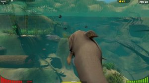 || FEED AND GROW FISH || «Болотное чудовище»