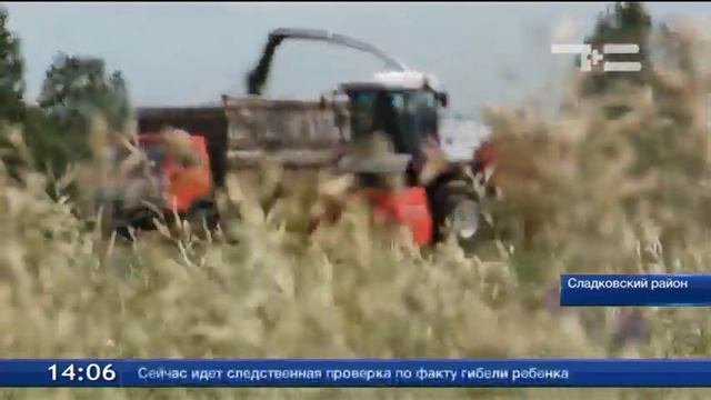 В Сладковском районе полным ходом идёт заготовка кормов смотреть онлайн