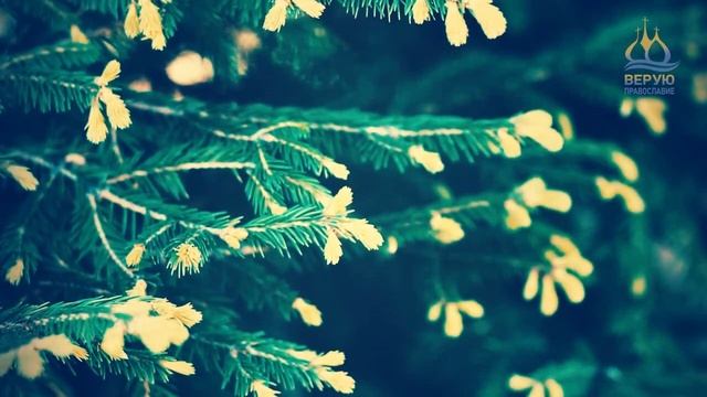 ? ДЕНЬ ЗА ДНЁМ (12 марта) - Седмица cырная (масленица) - сплошная. смотреть онлайн