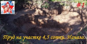 Небольшой пруд своими руками на садовом участке 4,5 сотки. Начало.