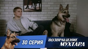 «Возвращение Мухтара»: «Внезапная смерть» (1 сезон. 30 серия)