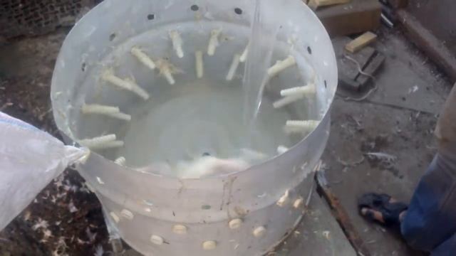 Перощипальный Аппарат , перощипалка , утки , курицы , куры . Самодельный смотреть онлайн