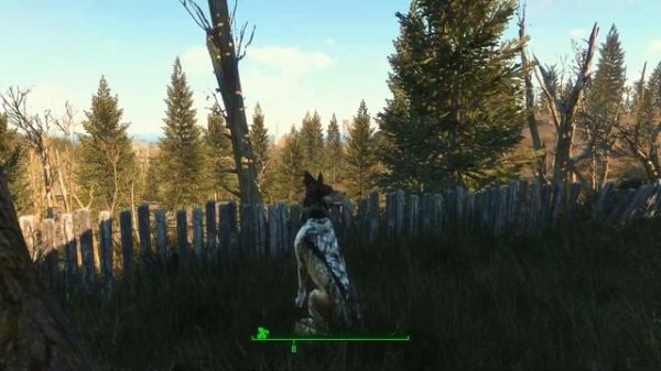 Fallout 4 ? MOD Duncan's Den RU ВЕРСИЯ ? Новый компаньон и свора собак