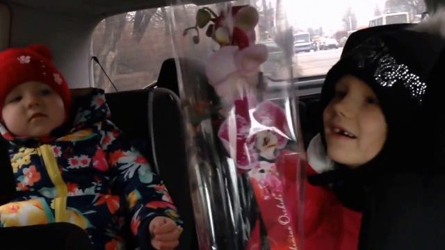 Поездка в деревню, смотрим маленьких козлят смотреть онлайн