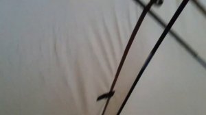 Обзор Четырех-местной надувной палатки MIR 1851-4