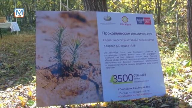 Эко-программа "Подари лес другу" в Кузбассе смотреть онлайн