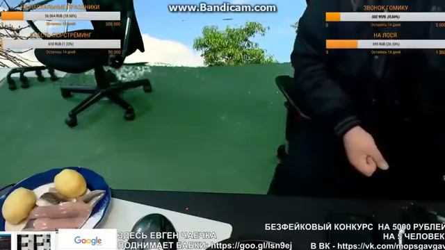 Мопс выбесил андрюху/андрюха в ярости/андрюха орет на мопса смотреть онлайн